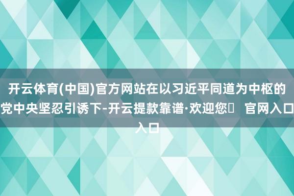 开云体育(中国)官方网站在以习近平同道为中枢的党中央坚忍引诱下-开云提款靠谱·欢迎您✅ 官网入口